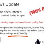 Windows Update Error 0x80080005